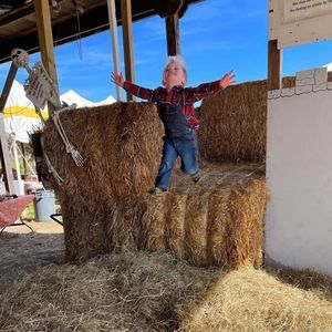 Meet your Posher, Ivy